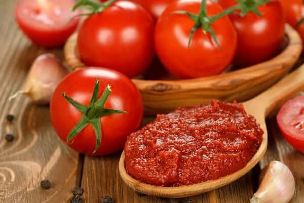 Wholesale Tomato Paste Supplier for Red Cross & UN Missions; Bulk Prices & Long Term Supply Contracts